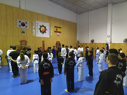 Seminario de Taekwondo acrobático