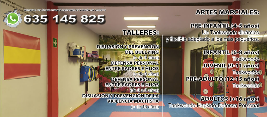 TAEKWONDO Y HAPKIDO CLASES PRESENCIALES Y ONLINE